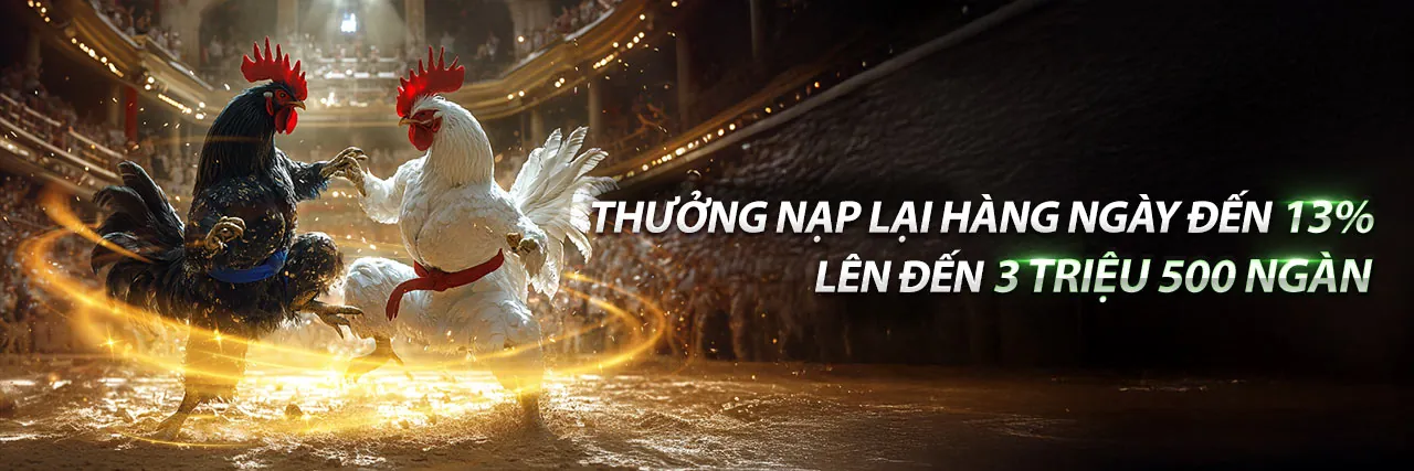 Đội ngũ hỗ trợ Dbet chuyên nghiệp