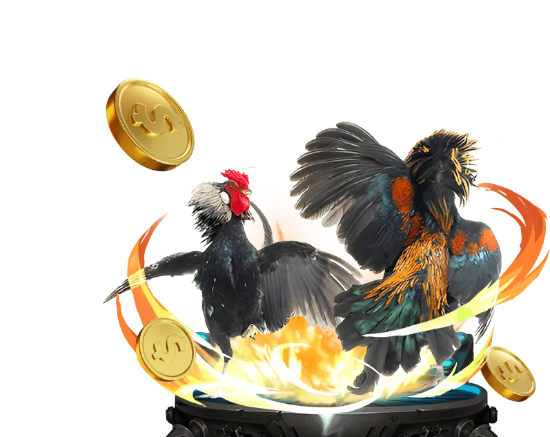 Các máy đánh bạc slot game đa dạng tại Dbet